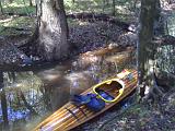 Congaree NP 03